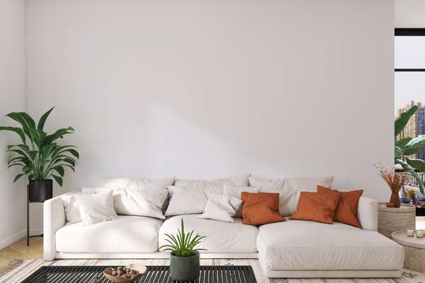 Juxtapose a brown sofa with white