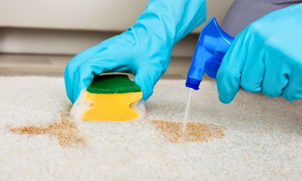 How To Clean Mold Out Of Carpet