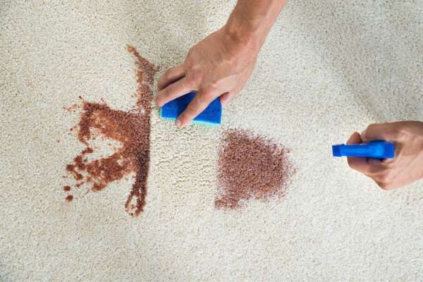 Benefits Of Cleaning The Dried Coffee Stain From Carpet