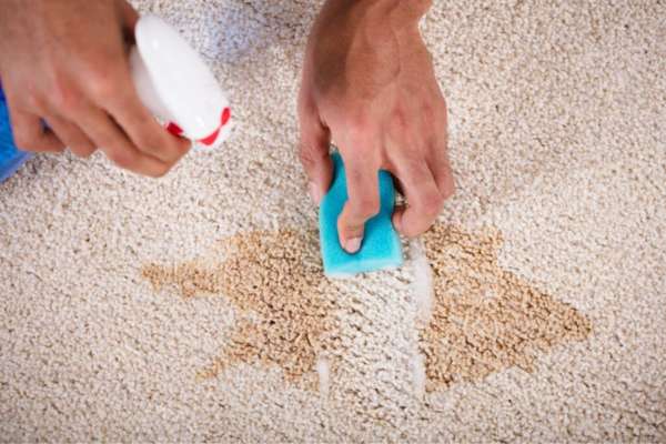 https://www.istockphoto.com/photo/janitor-cleaning-stain-on-carpet-gm917885558-252509160?phrase=Lift+The+Wet+Paint+from+carpet