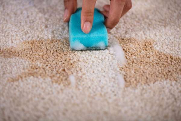 How To Get Water-Based Paint Out Of A Carpet