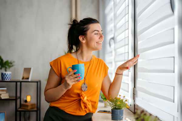 Shades Living Room Window Treatments Ideas