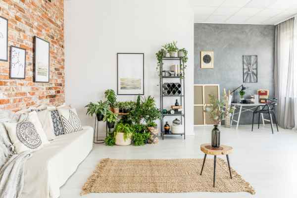 Incorporating Plants Coastal Farmhouse Living Room Furniture