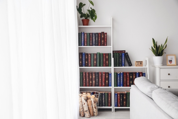 Under a Window Put A Bookshelf In A Living Room